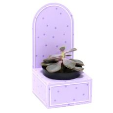 Medium Box with crib - Arch