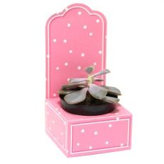 Medium Box with crib - Beaked