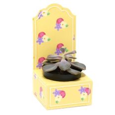 Medium Box with crib - Waved
