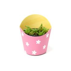 Small Vase Wrap - Arch