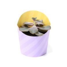 Medium Vase Wrap - Arch