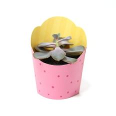 Medium Vase Wrap - Beaked