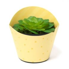 Large Vase Wrap - Arch