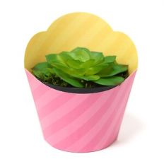 Large Vase Wrap - Beaked