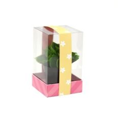 Small Clear Box