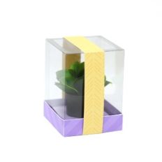 Medium Clear Box - short