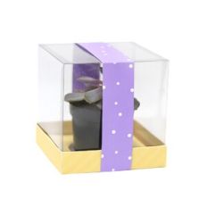 Large Clear Box - short