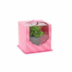 Small Clear Box with Handle