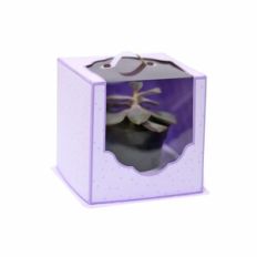 Medium Clear Box with Handle - short