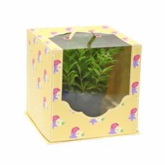 Large Clear Box with Handle - short