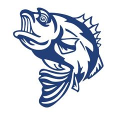 Fierce Bass Fish