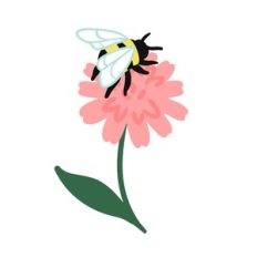Bumble Bee on Flower