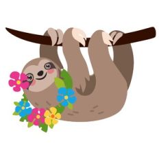 Tropical Sloth