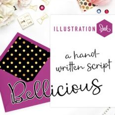 PN Bellicious Stencil