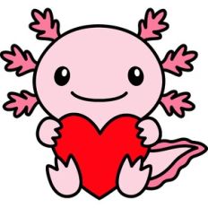 Axolotl