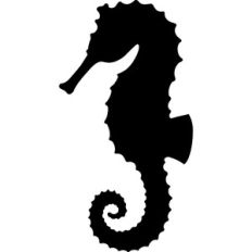 Seahorse