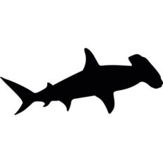 Shark
