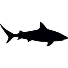 Shark