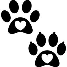 cat and dog paws heart