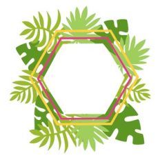 Modern Tropical Frame