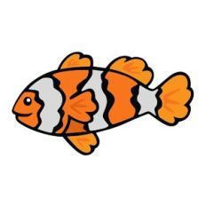 Clown Fish