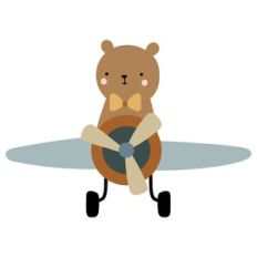 Teddy Bear In Plane