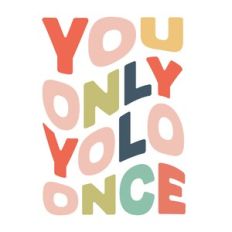 You Only Yolo Once