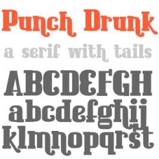ZP Punch Drunk