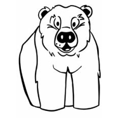 Cute Bear Anime Character