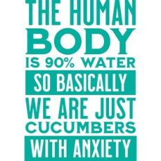 the human body is 90% water