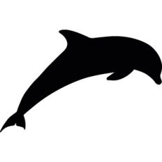 Dolphin