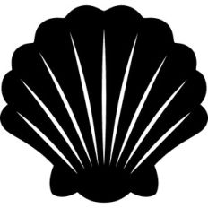 Seashell
