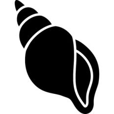 Seashell