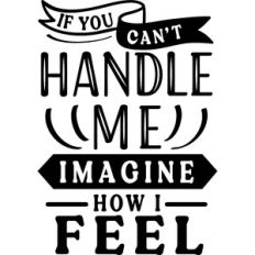 If You Can't Handle Me Imagine How I Feel