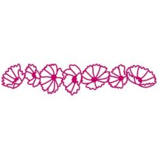 Cosmos Flower Border