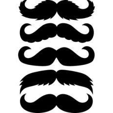 mustaches set