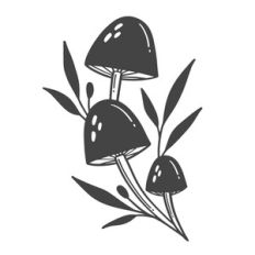 Mushroom Grouping