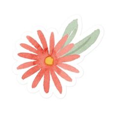 Flower And Leaves