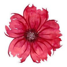 Red Watercolor Abstract Flower Print and Cut