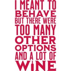 i meant to behave