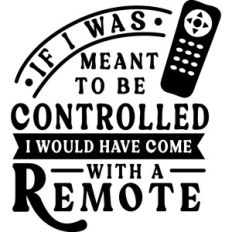 If Meant To Be Controlled Come With Remote