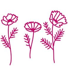 Cosmos Flower Stems