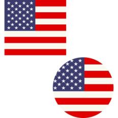 circle and square flag
