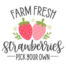 Farm Fresh Strawberries Pick Your Own