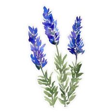 Expressive Watercolor Lavender Flowers Print and Cut