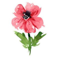 Red Poppy Anemone Watercolor Flower Print and Cut