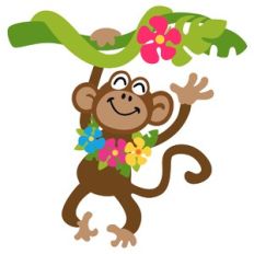 Tropical Monkey