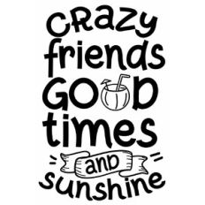 Crazy Friends Good Times and Sunshine