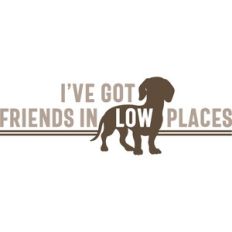 i've got friends in low places