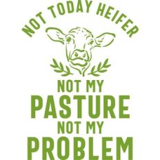 not today heifer